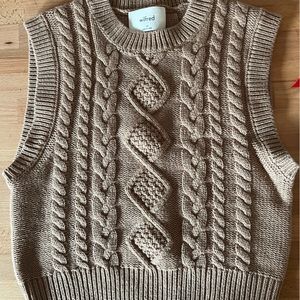 Aritzia, Brown, Wilford sweater